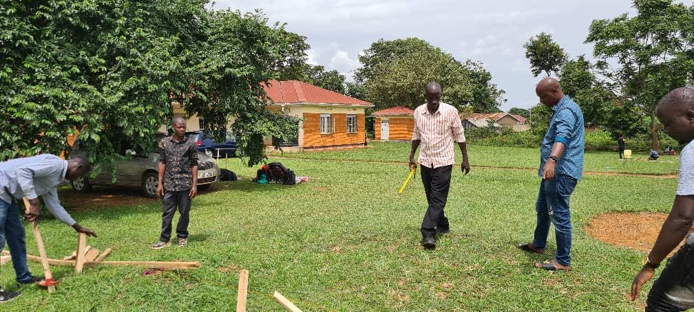 Structural Framework Erection