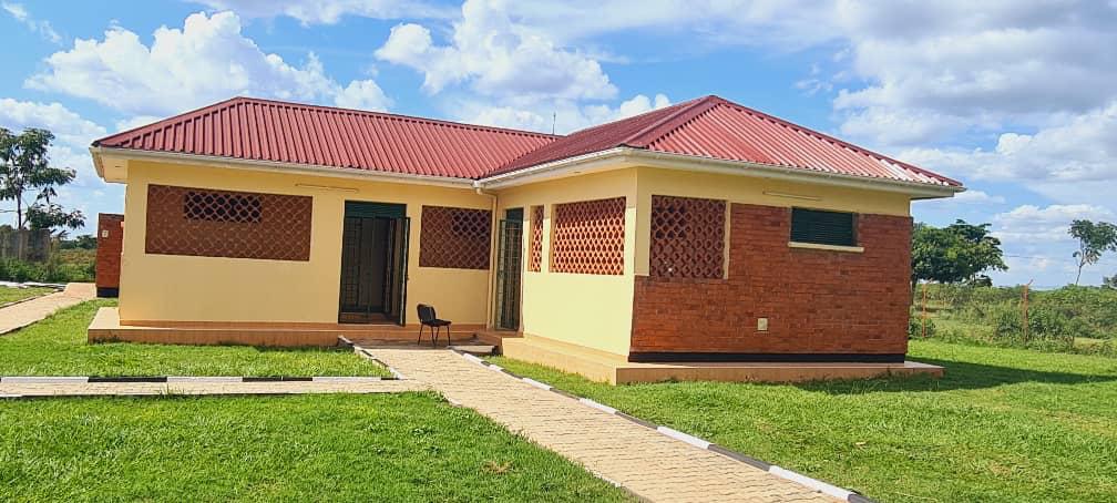 Structural Framework Erection