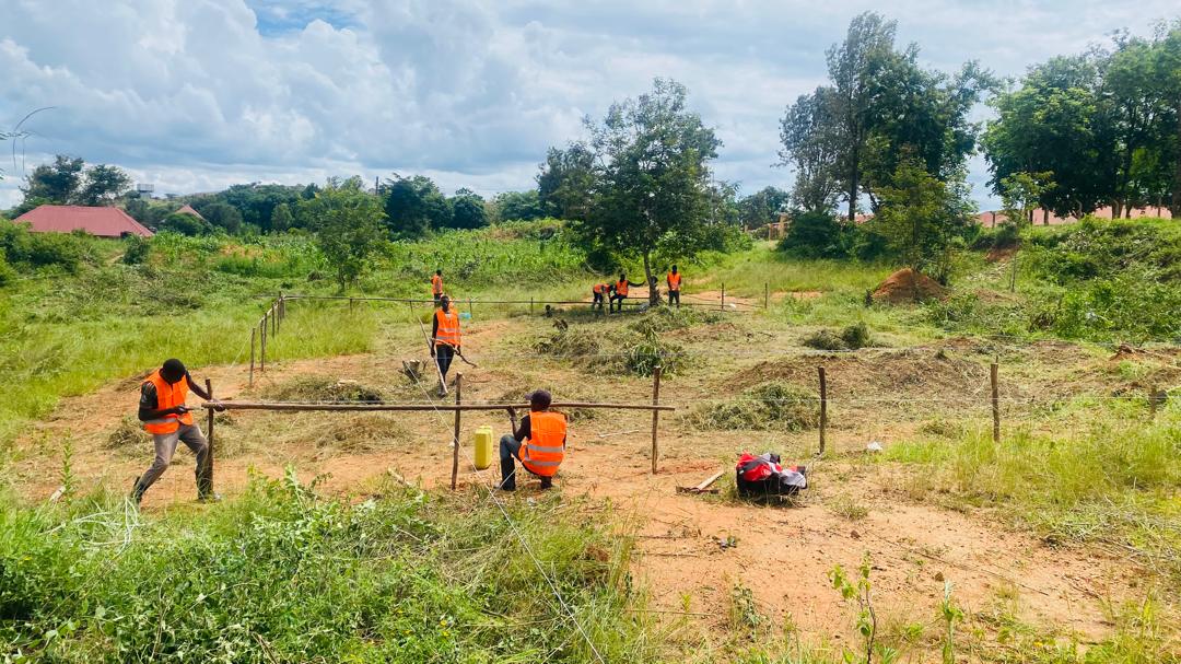 Structural Framework Erection