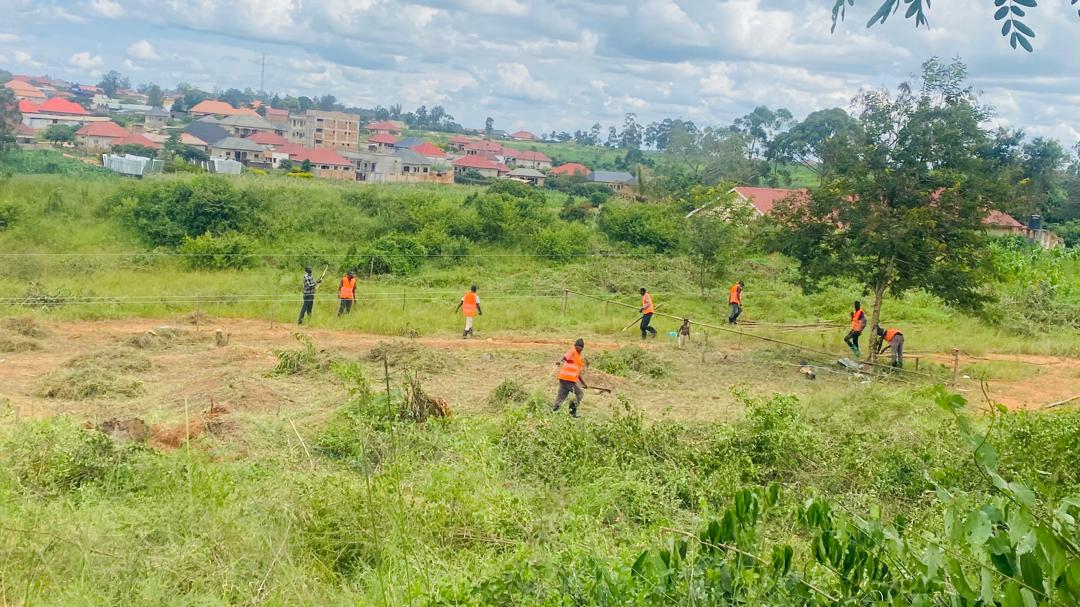 Structural Framework Erection