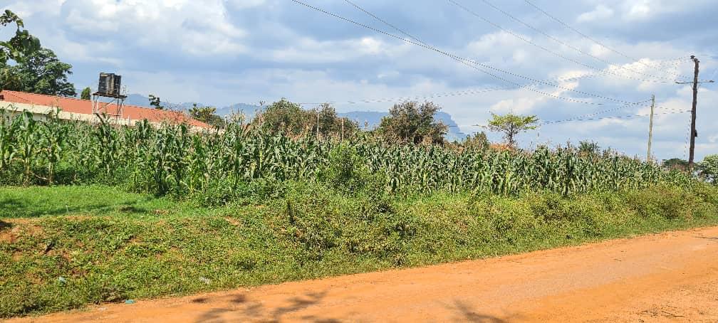 Structural Framework Erection