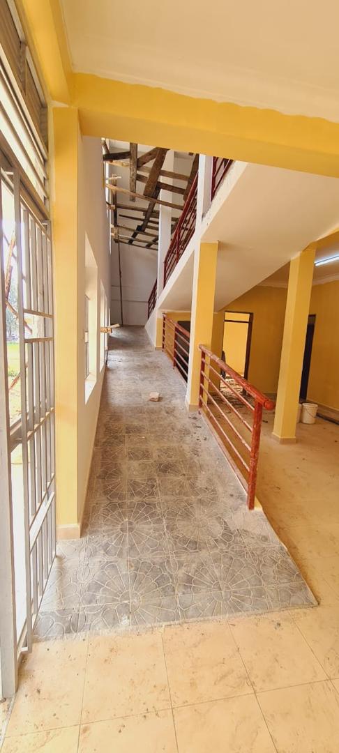 Structural Framework Erection