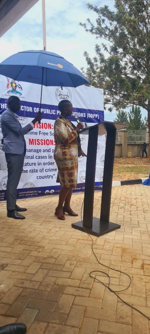 Structural Framework Erection