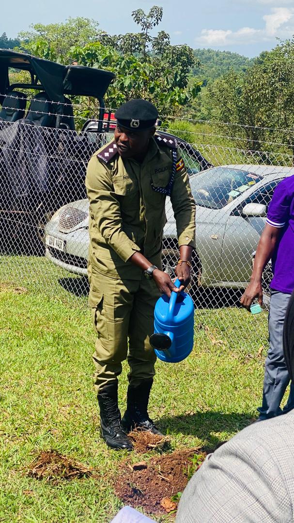 Structural Framework Erection