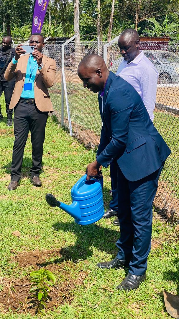 Structural Framework Erection