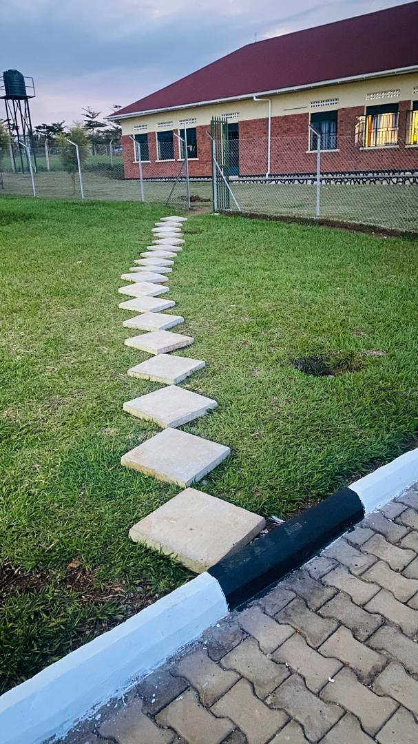 Structural Framework Erection