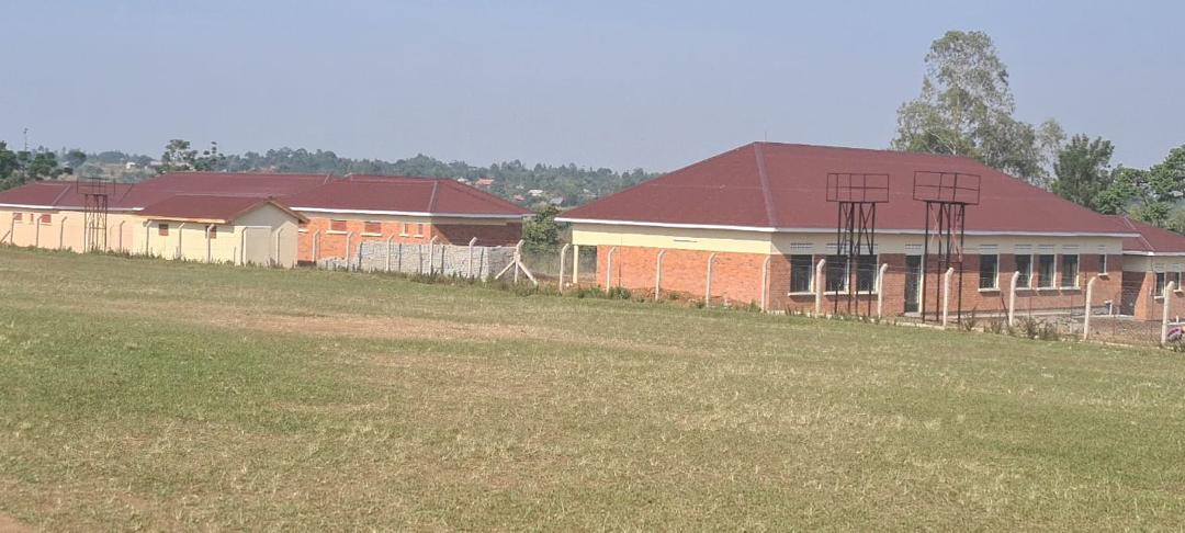 Structural Framework Erection