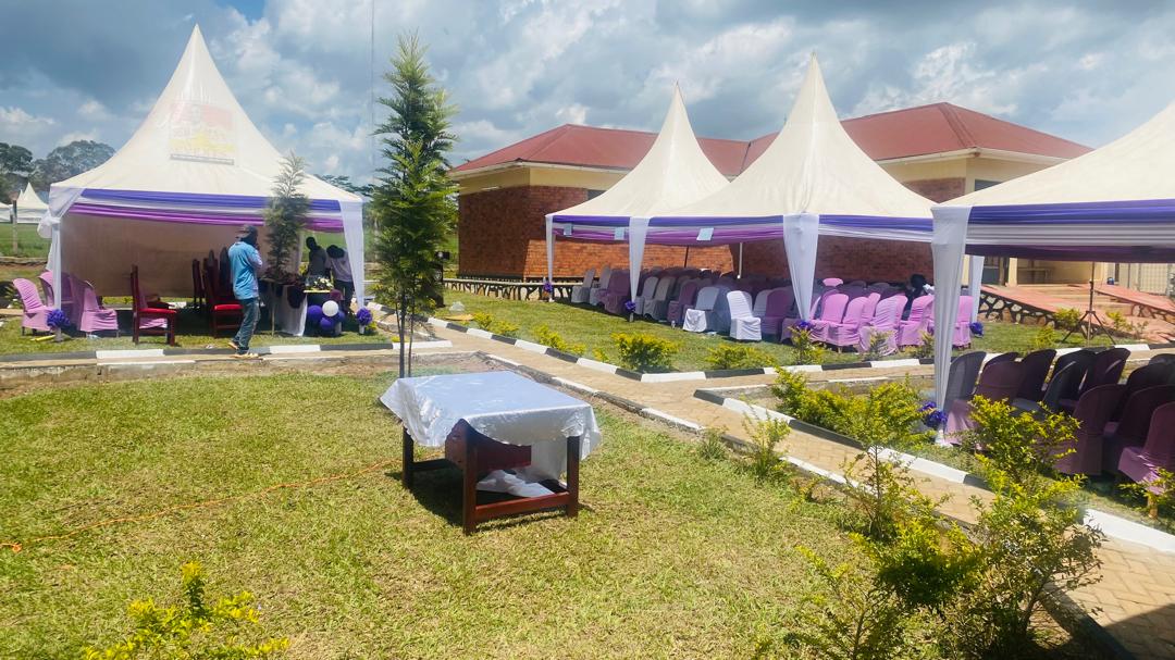 Structural Framework Erection