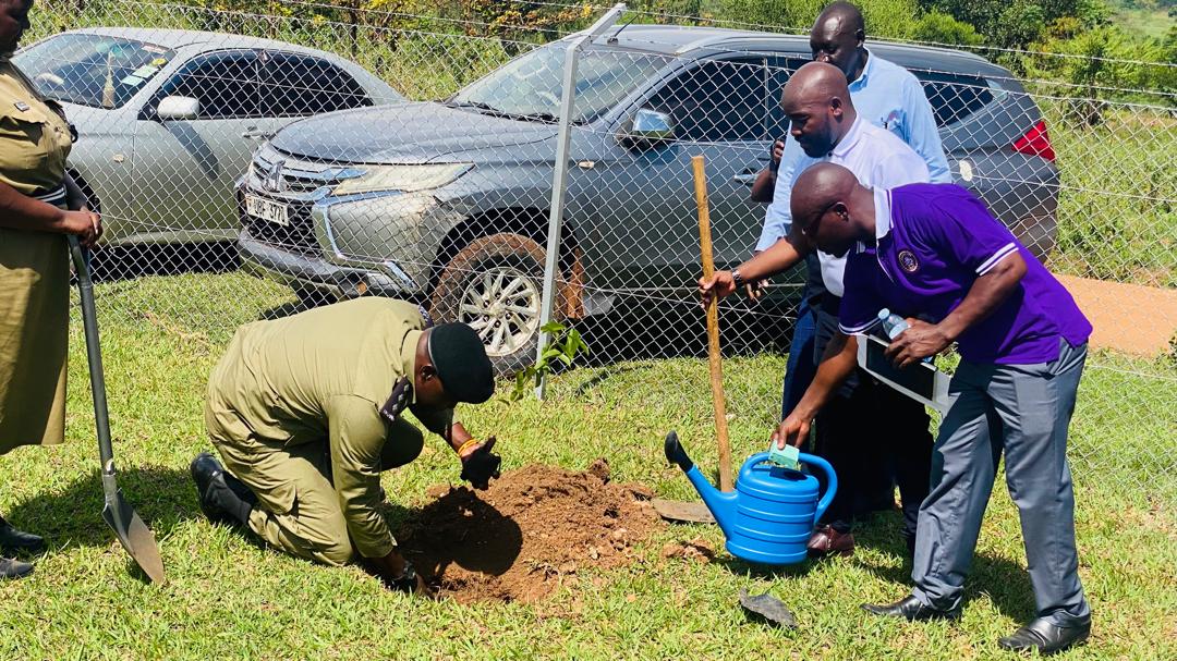 Structural Framework Erection